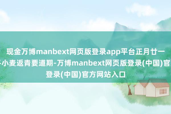 现金万博manbext网页版登录app平台正月廿一前后碰巧冬小麦返青要道期-万博manbext网页版登录(中国)官方网站入口